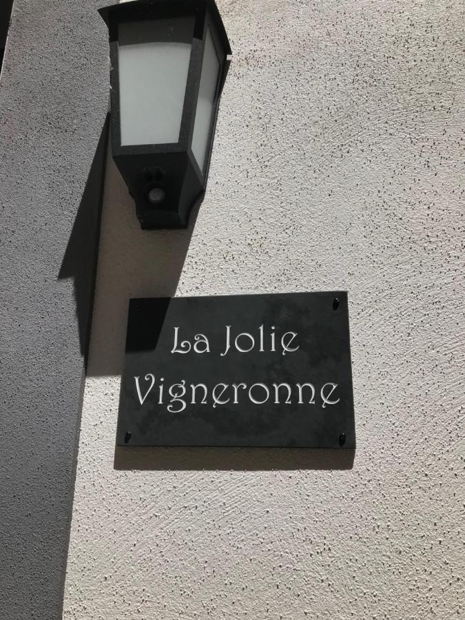 La Jolie Vigneronne Villa Marseillan  Bagian luar foto